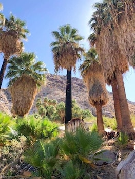 twentynine palms