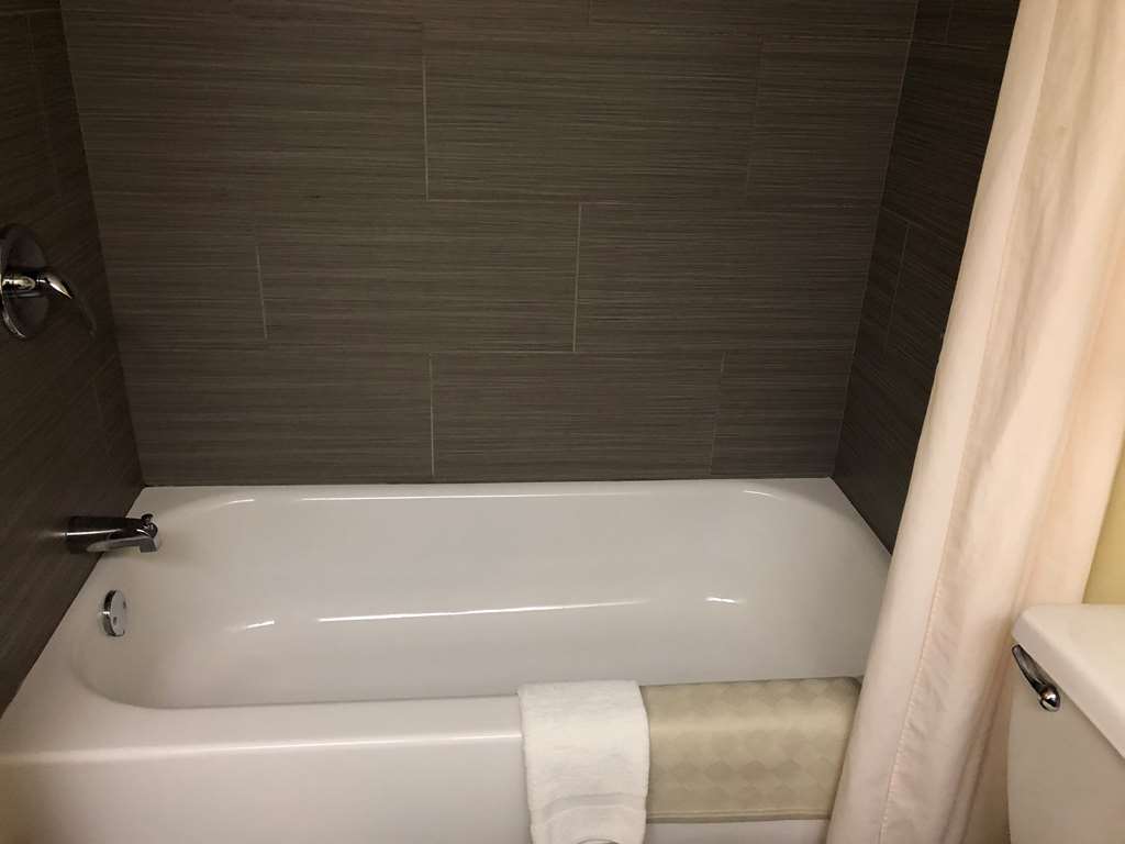best western rayne inn