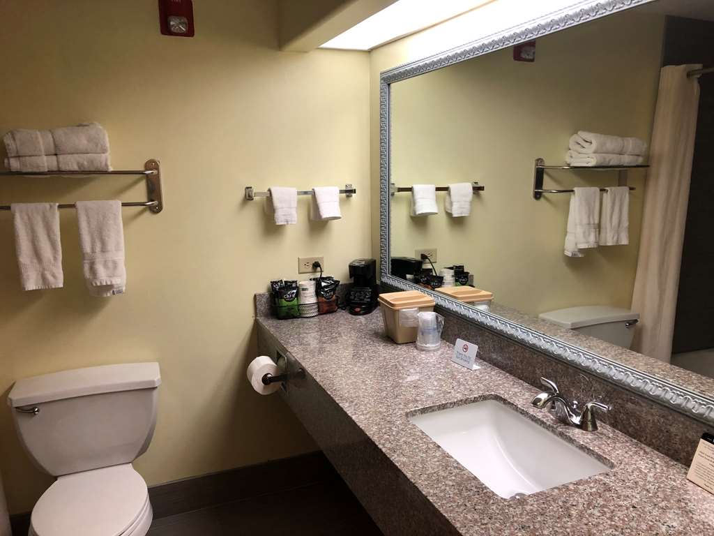 best western rayne inn