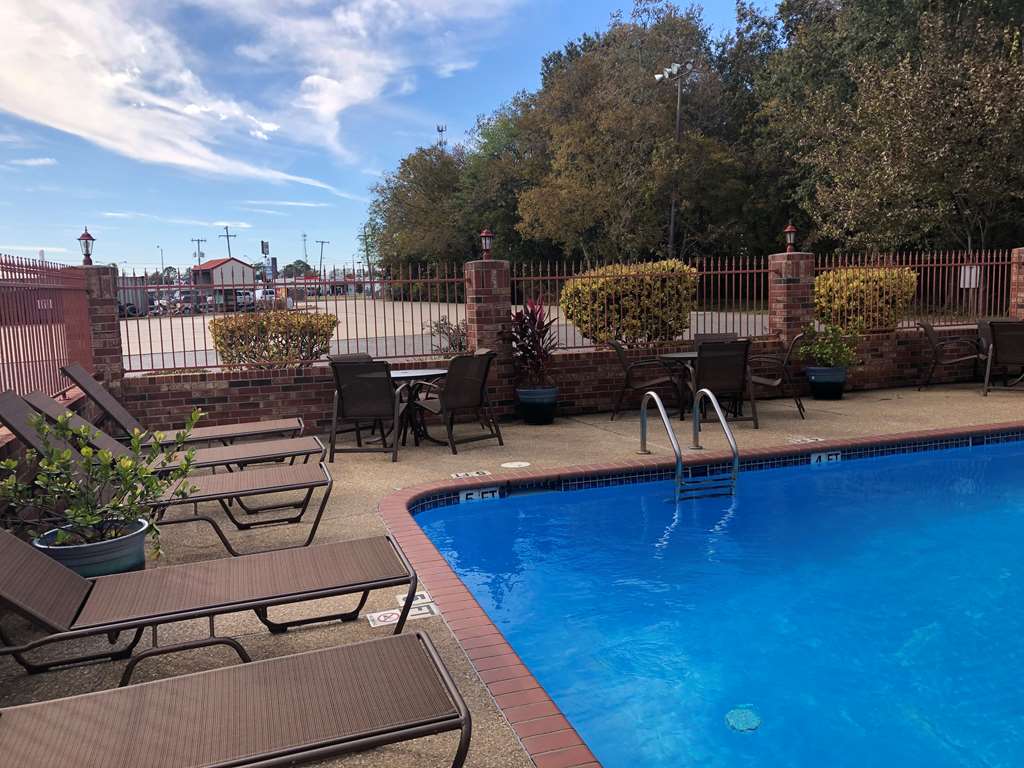 best western rayne inn