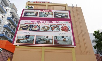 treebo empire executive hinjewadi