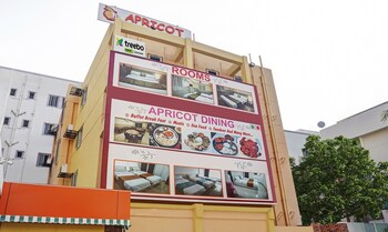 treebo empire executive hinjewadi