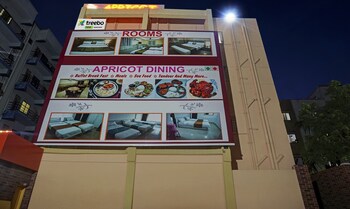 treebo empire executive hinjewadi