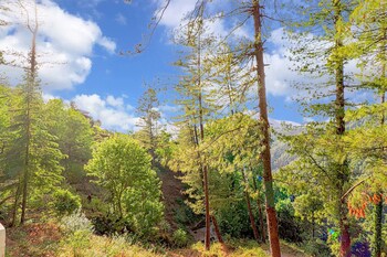 Oak N Pine By Dumnu Homes,India>>Nainital,3.5 star