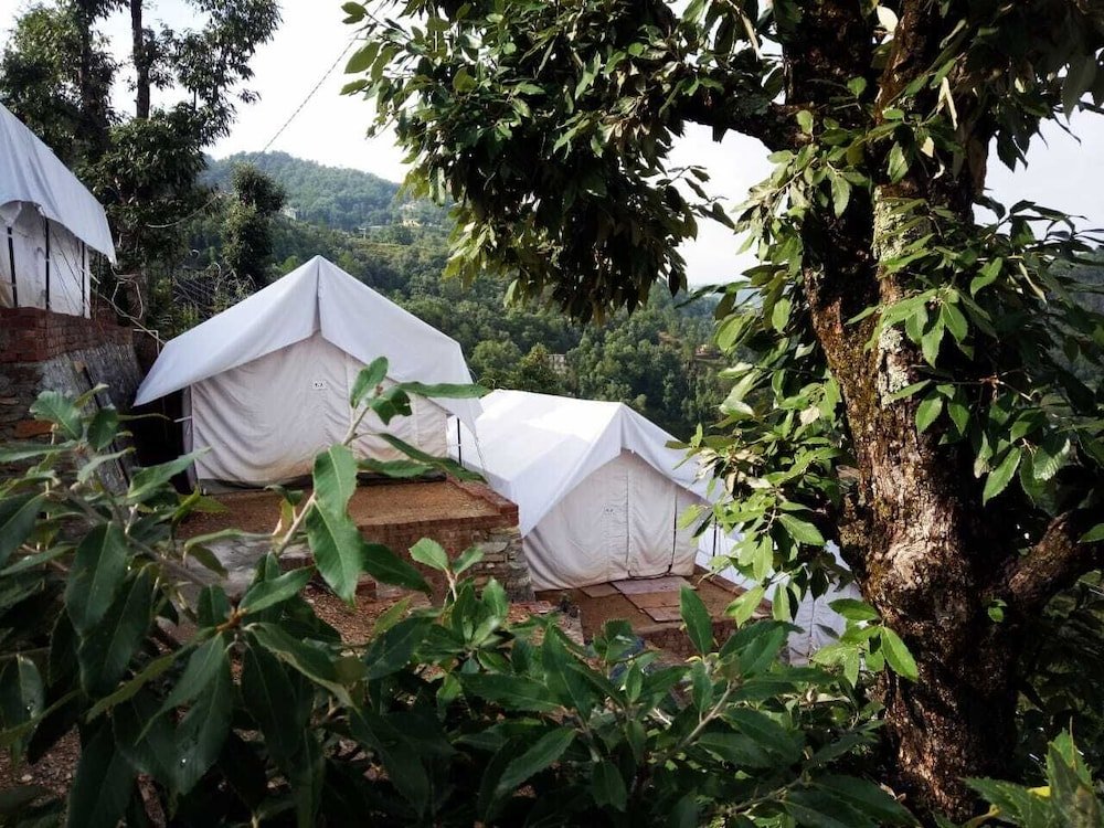 D Jungle Dabas Cottages,Nainital>>Mukteshwar,0 star