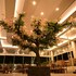 moistin business class hotel