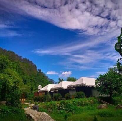 elixir of nature glamping