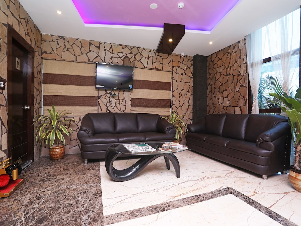 dolphin chocolate inn