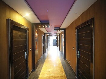 dolphin chocolate inn