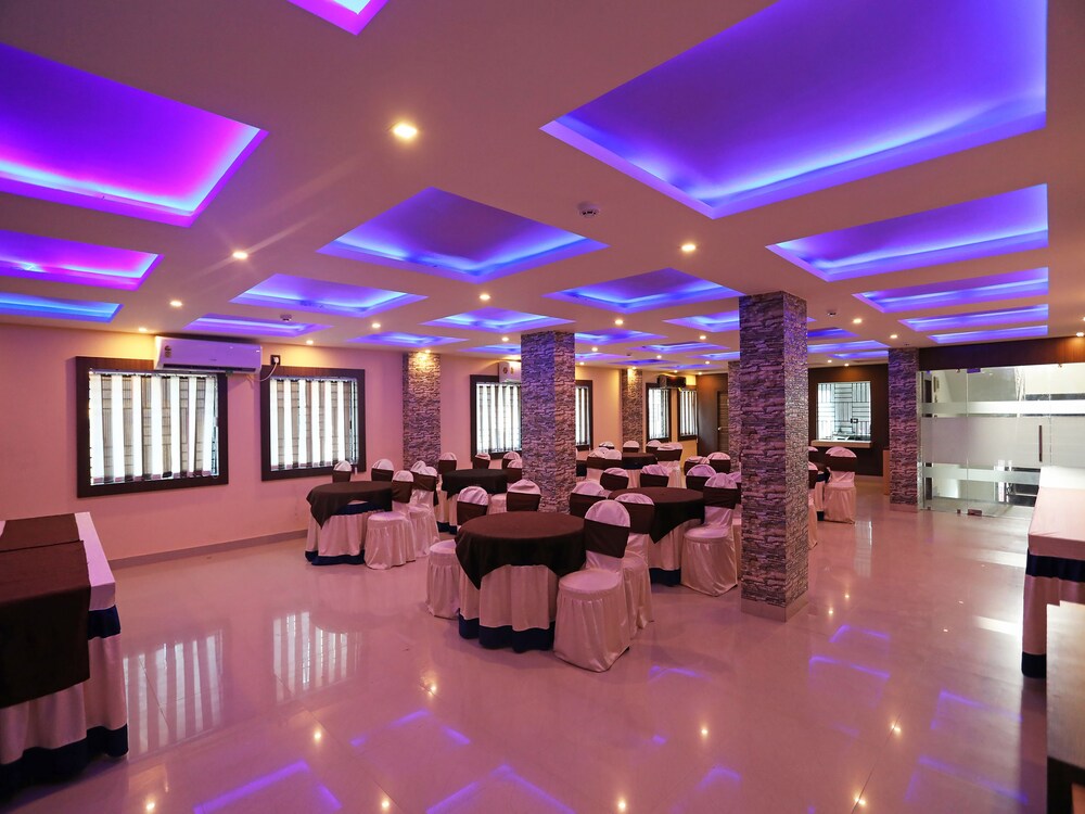 dolphin chocolate inn