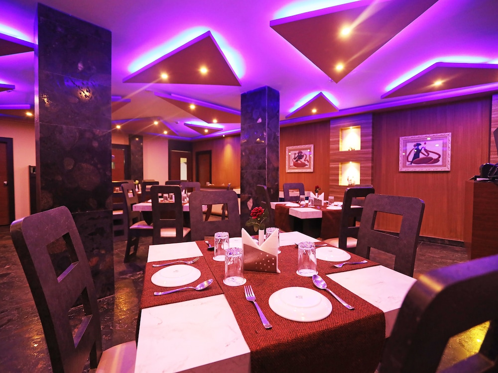 dolphin chocolate inn