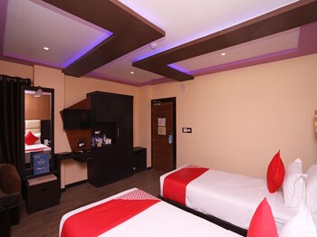 dolphin chocolate inn