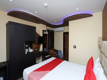 dolphin chocolate inn