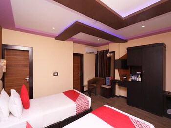 dolphin chocolate inn