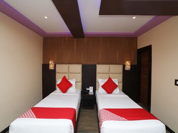 dolphin chocolate inn