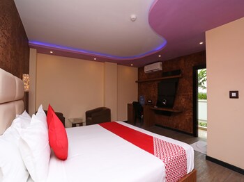 dolphin chocolate inn