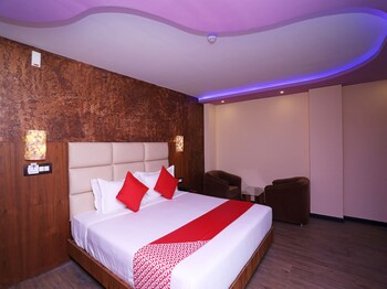 dolphin chocolate inn