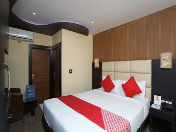 dolphin chocolate inn