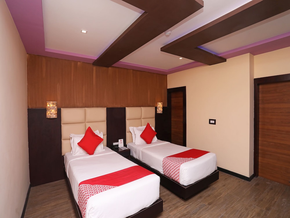 dolphin chocolate inn