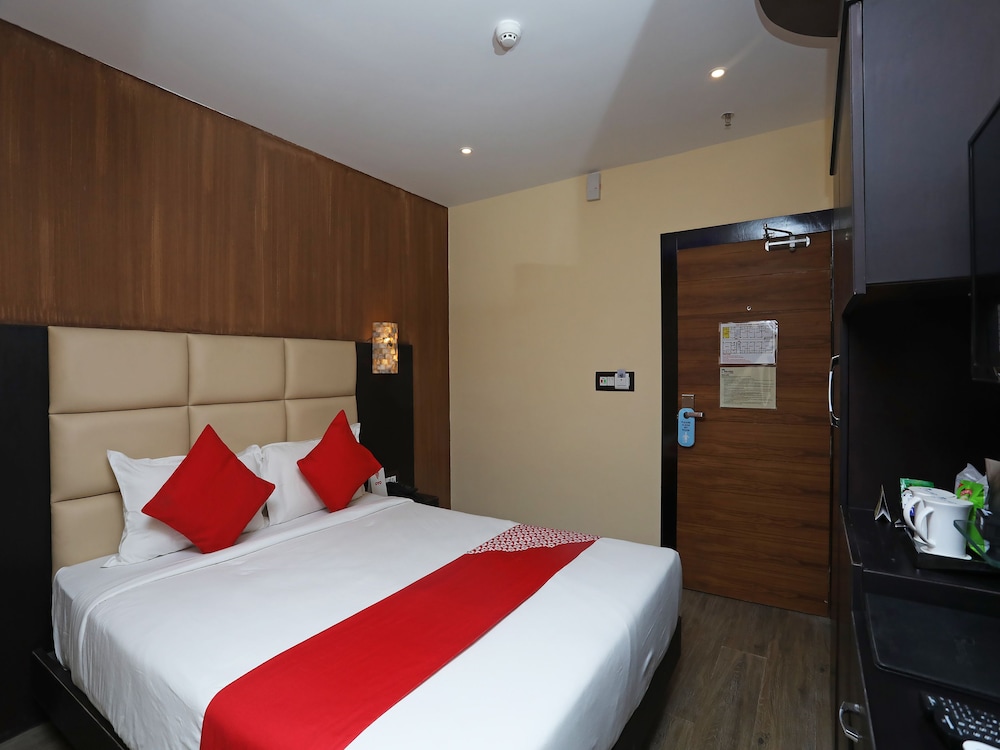 dolphin chocolate inn