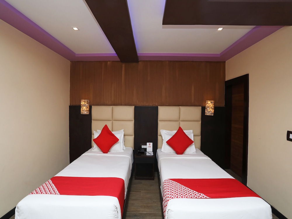 dolphin chocolate inn