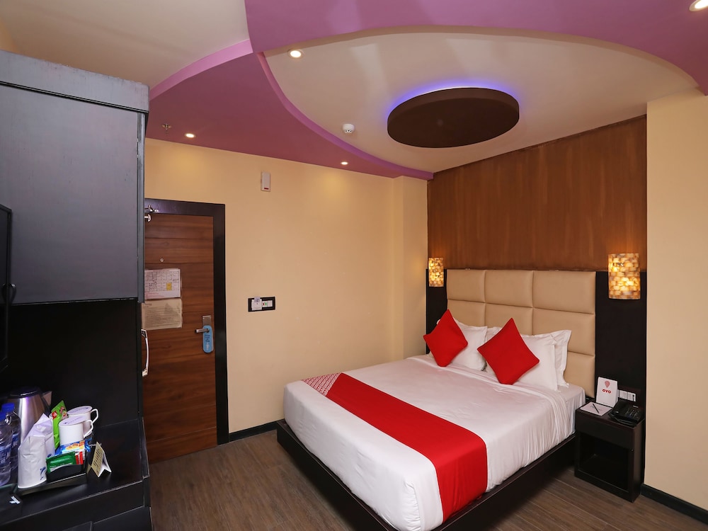 dolphin chocolate inn