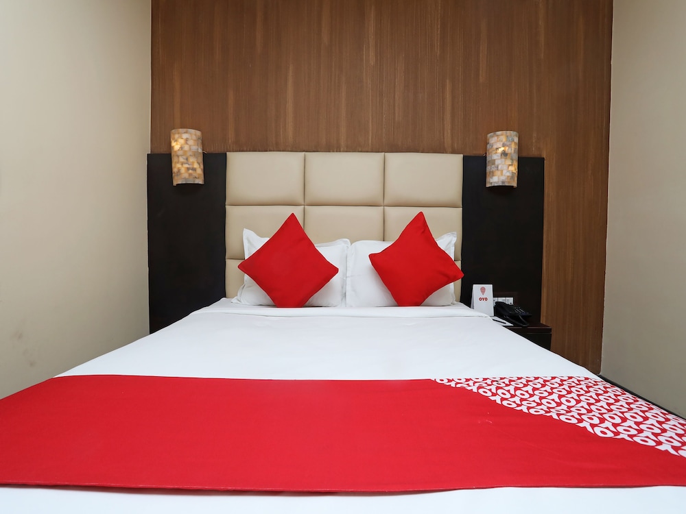 dolphin chocolate inn