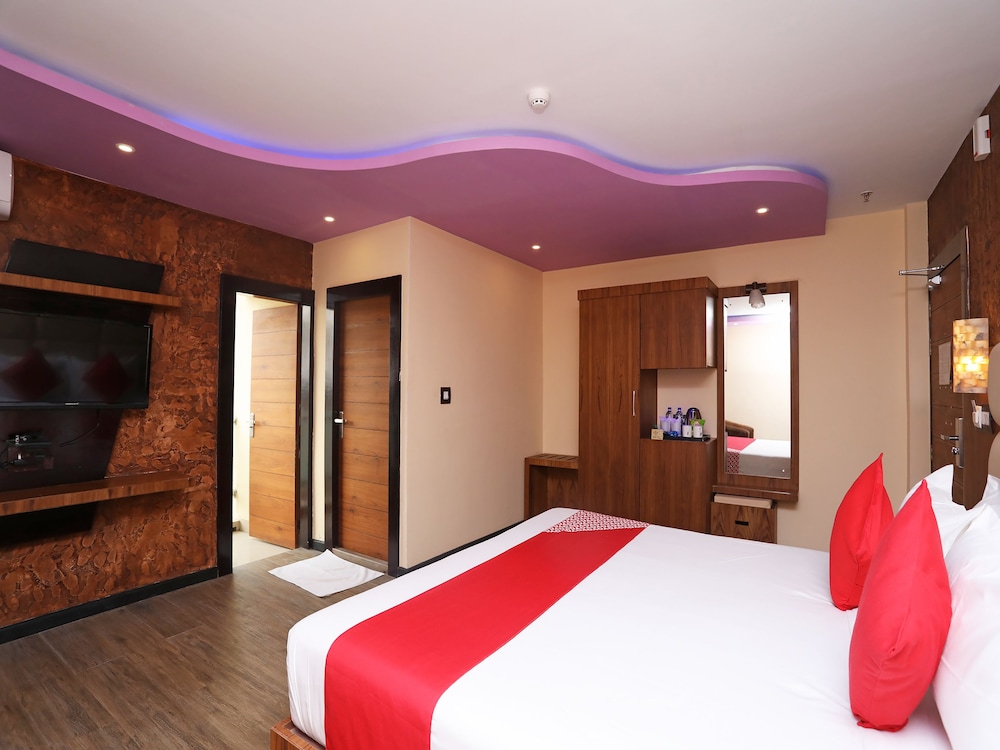 dolphin chocolate inn