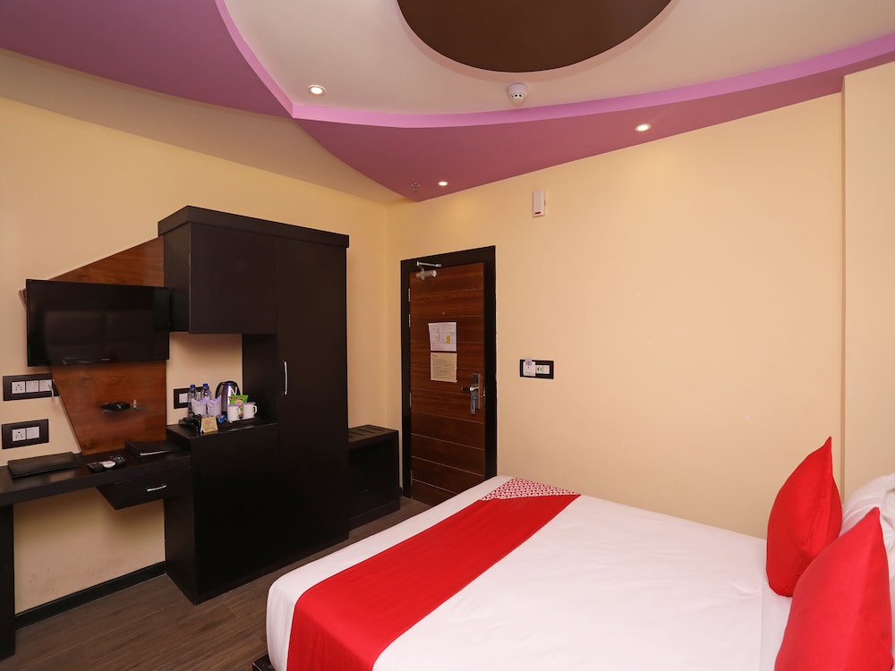 dolphin chocolate inn