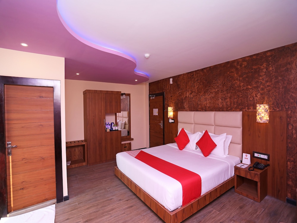 dolphin chocolate inn