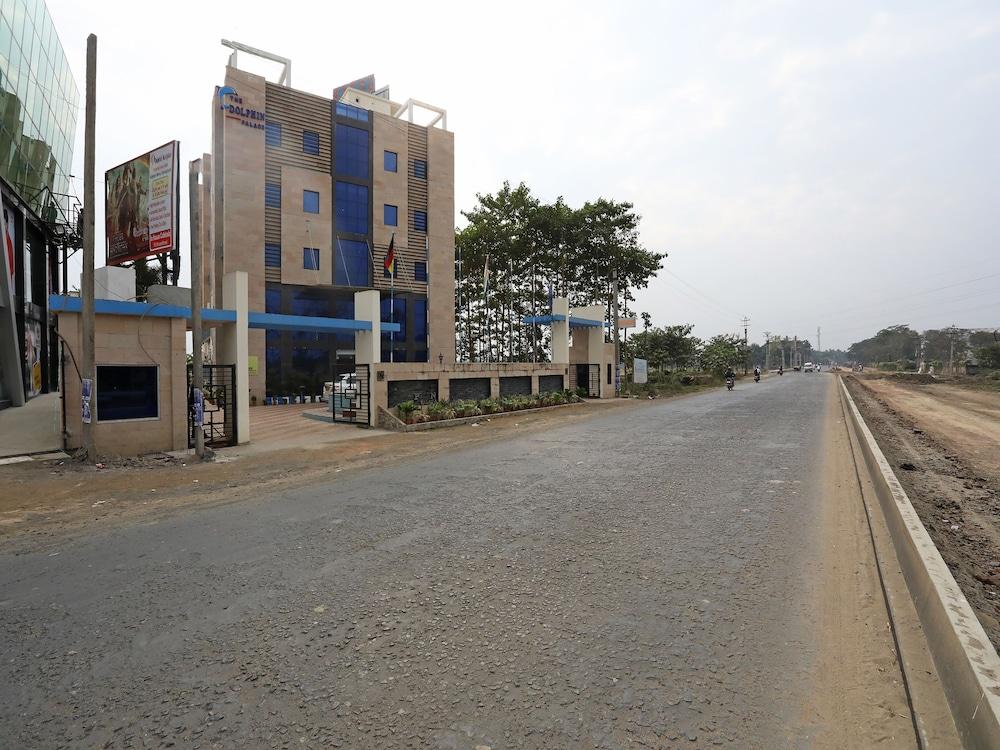 dolphin chocolate inn