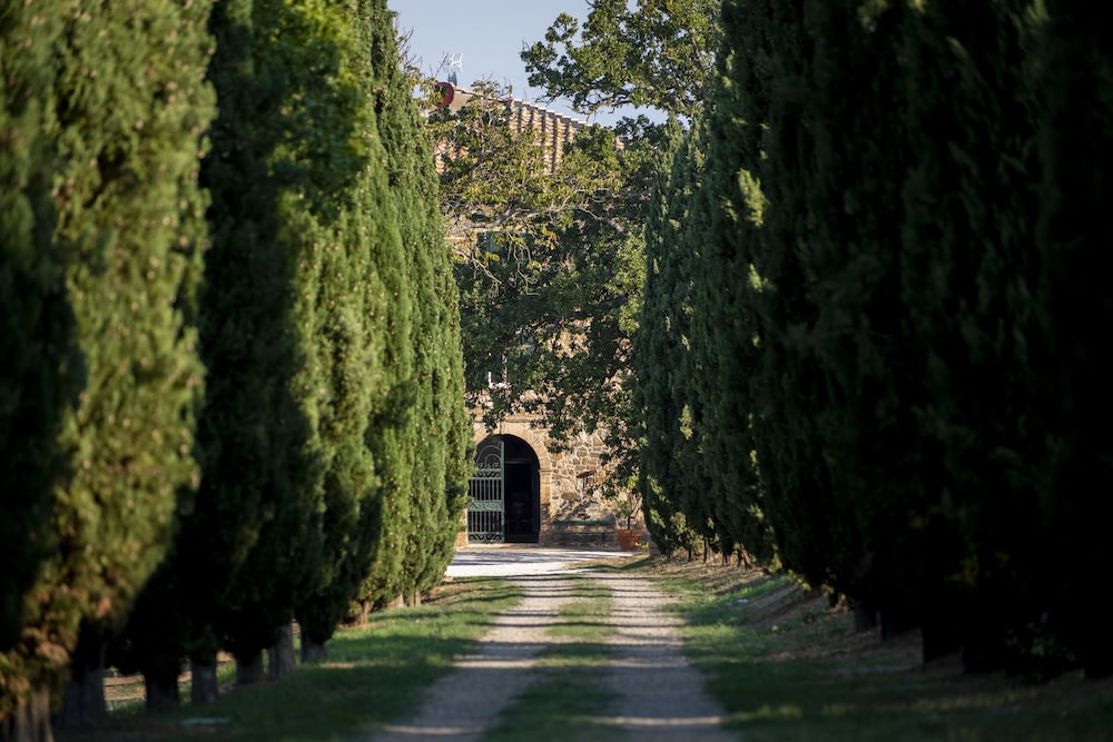 montalcino