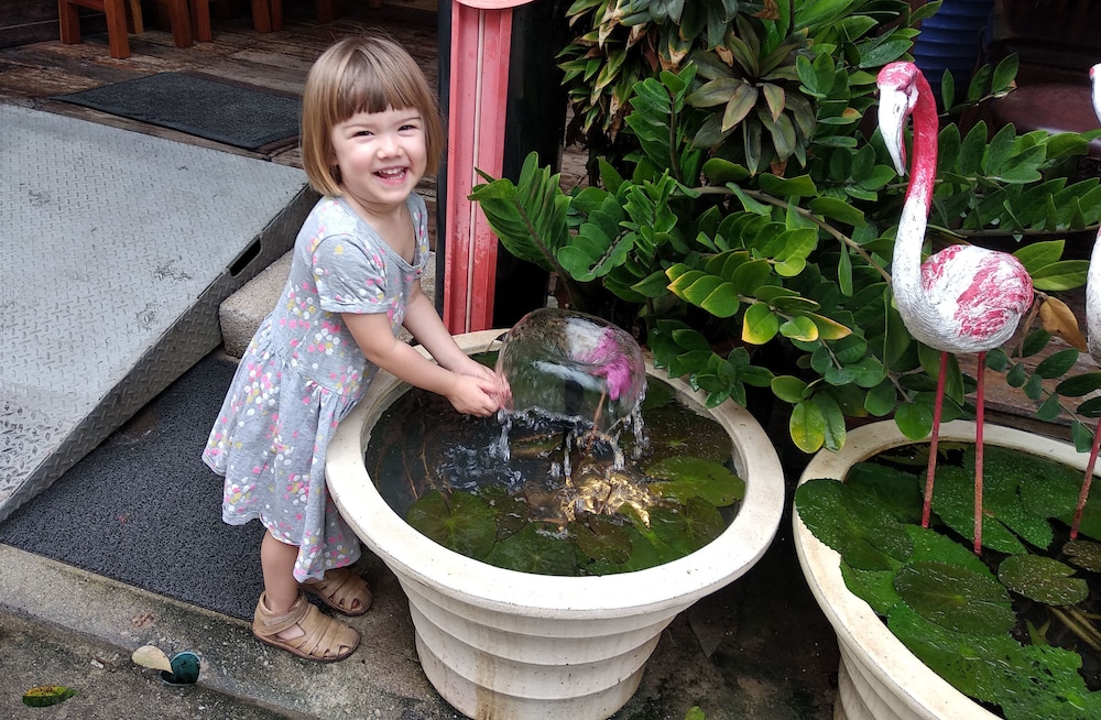 baan kamala hostel and guesthouse