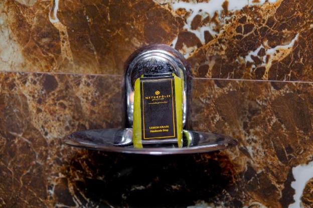 metropolis business hotel