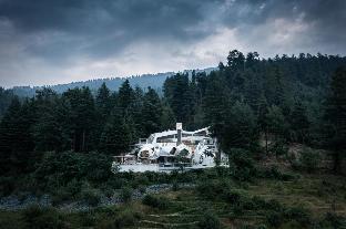 tree of life eila art hotel manali