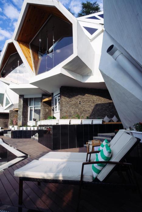 tree of life eila art hotel manali