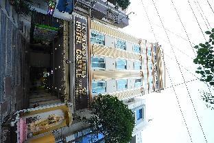 k n gupta group of hotel castle