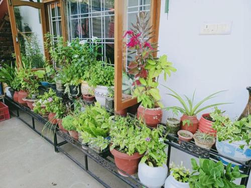 Cozy Solan Apartment With Stunning Views,India>>Solan,3 star