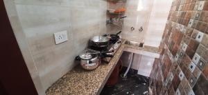 luxury flat in foreigner areof lajpat nagar with fully equipped kitch