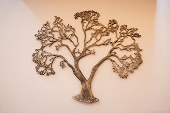 lime tree 2 bhk apartment golf course