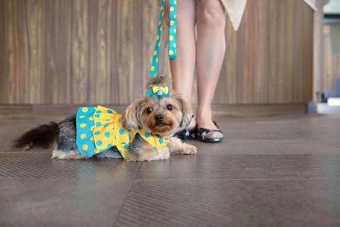 tru by hilton toronto airport west