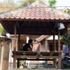 gani homestay