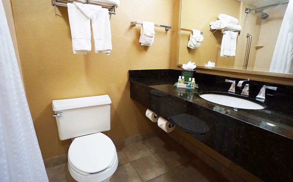 holiday inn corpus christi downtown marina an ihg hotel