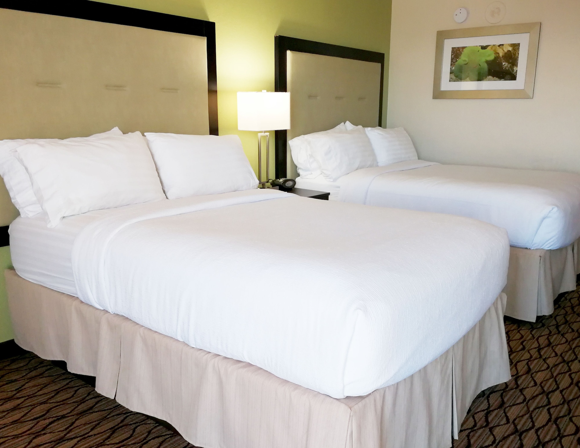 holiday inn corpus christi downtown marina an ihg hotel