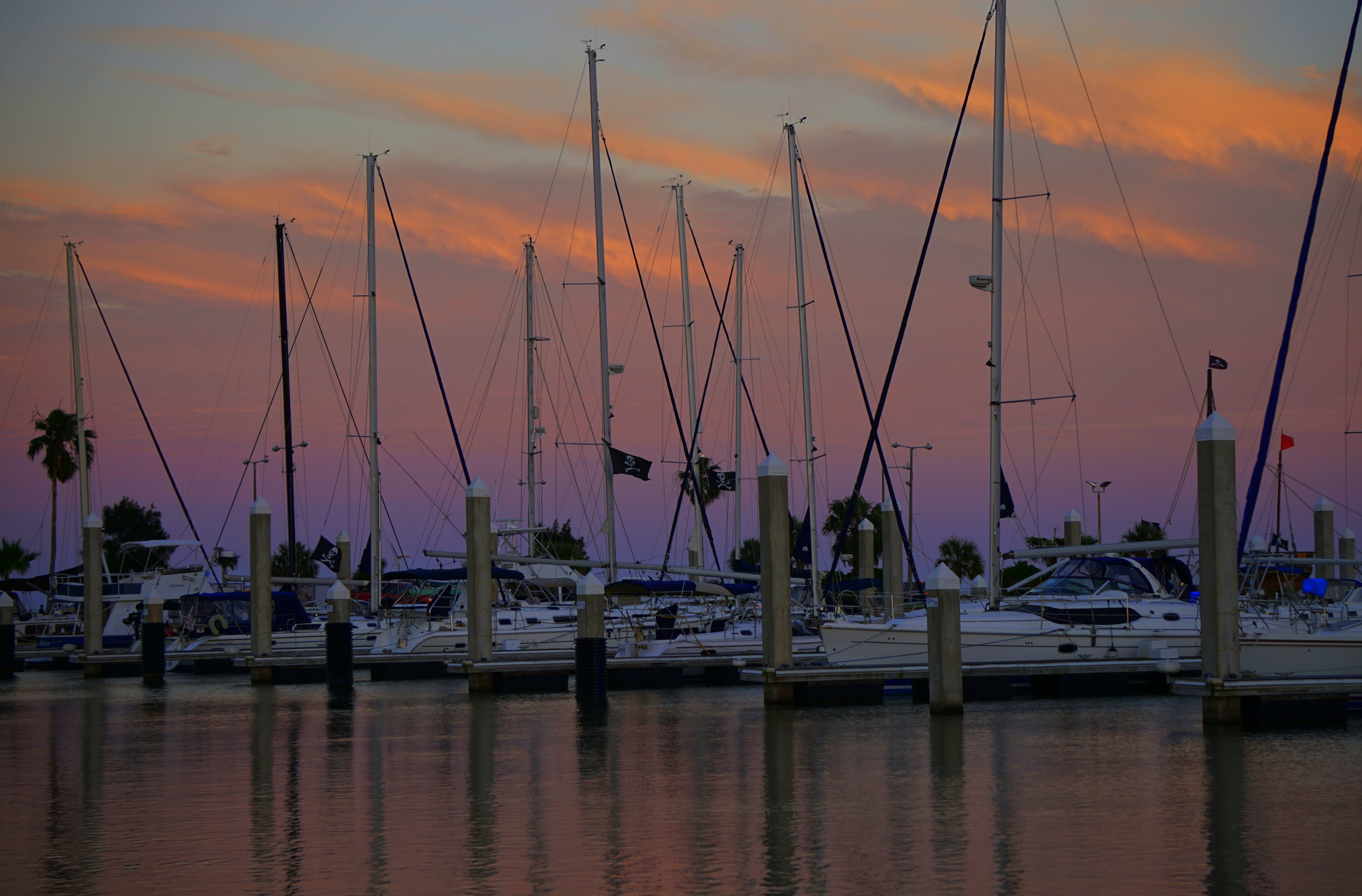 holiday inn corpus christi downtown marina an ihg hotel