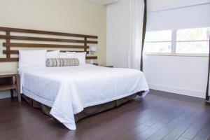 suites of dorchester