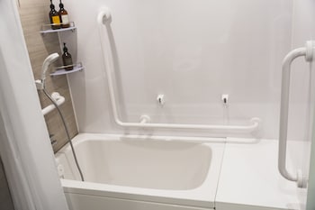 rembrandt style naha