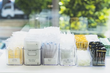 rembrandt style naha