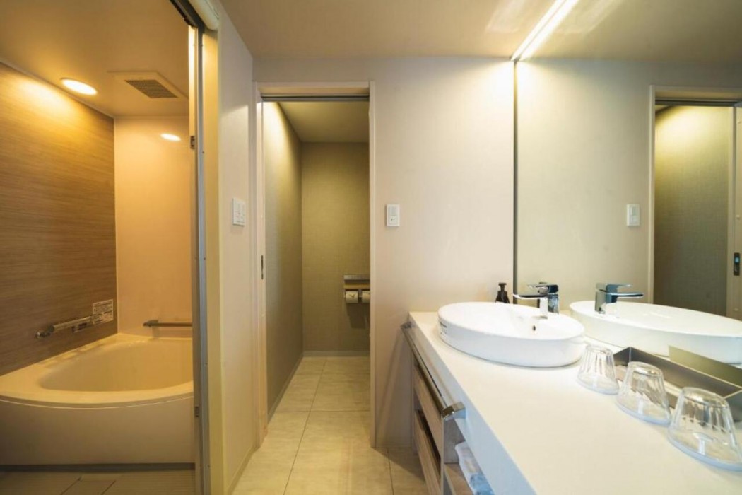 rembrandt style naha