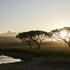 somerset west
